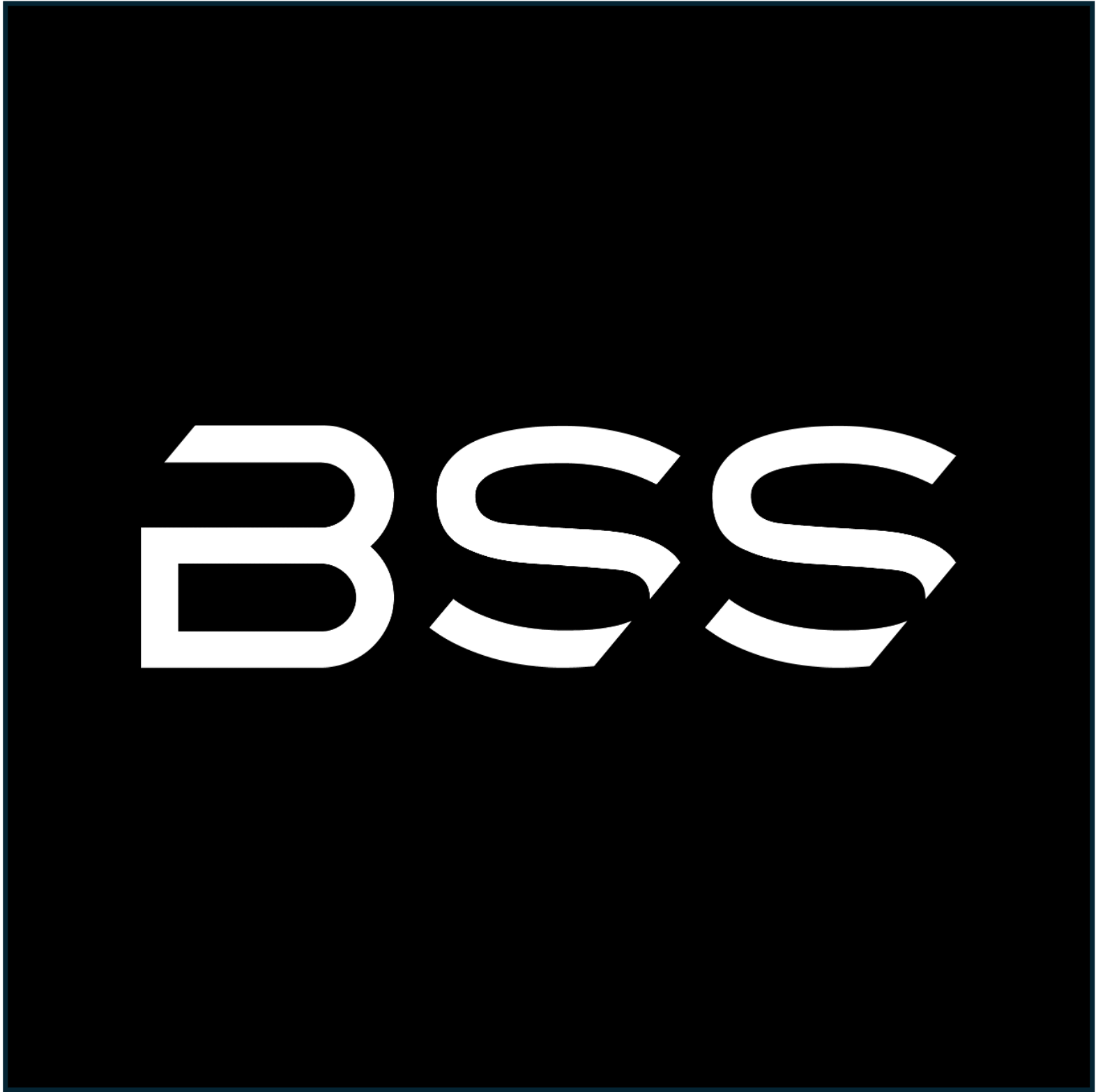 BSS_Logo_white auf black